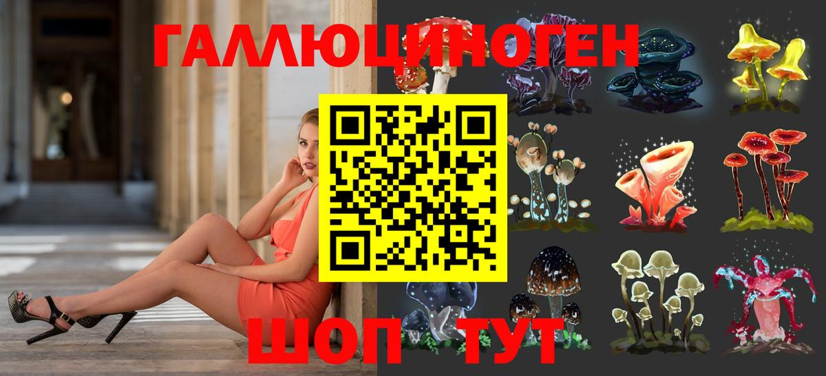 как найти наркотики  Галлюциногенные грибы Psilocybe  Щёлково  Вход с VPN  Псилоцибиновые грибы Cubensis 